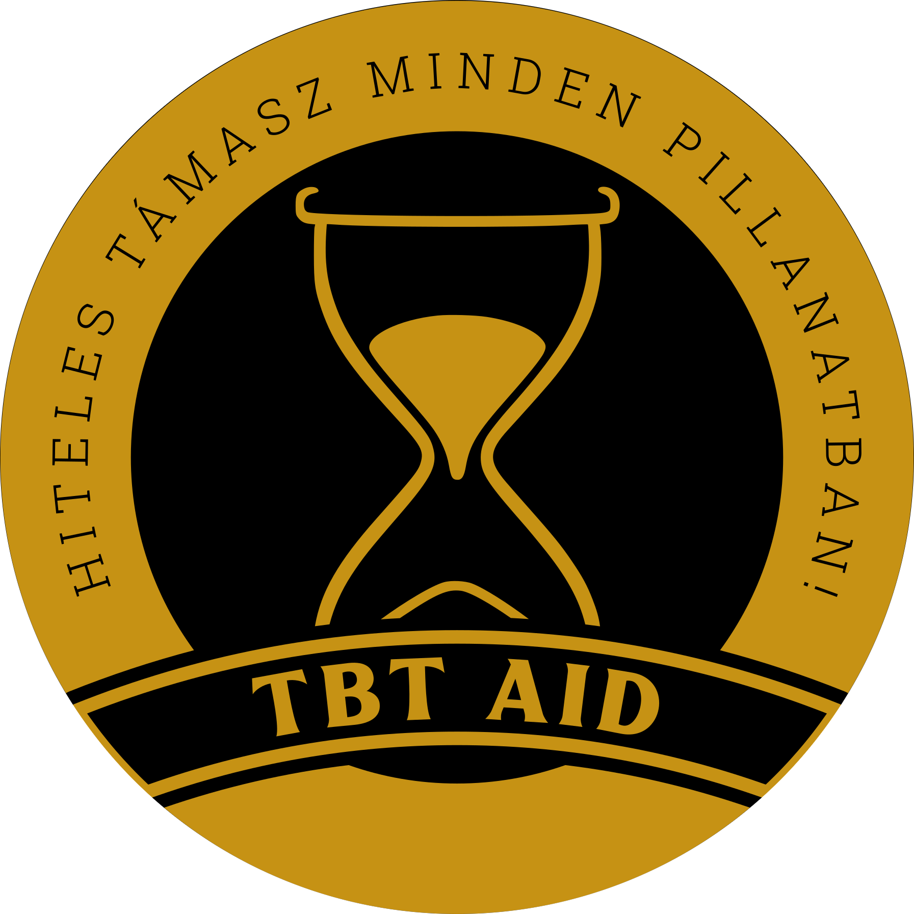 TBT AID Consulting logó
